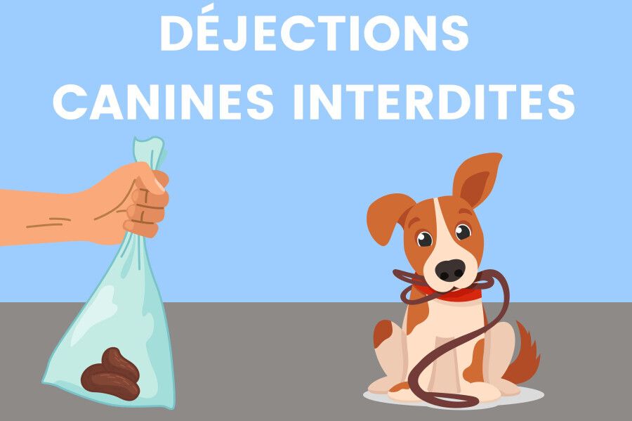 Interdiction Chiens